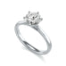 Diamond Engagement Ring- White Gold - Shimmering Round Six Claw Tapered Shank