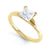 Princess Cut Centre Stone, 4 V claw, Diamond Engagement Ring