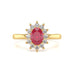 Diamond Halo Oval Shape Ruby Engagement Ring in 18ct Gold and Platinum