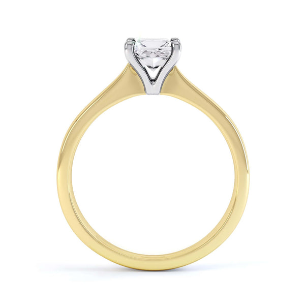 Princess Cut Centre Stone, 4 Claw, Diamond Engagement Ring