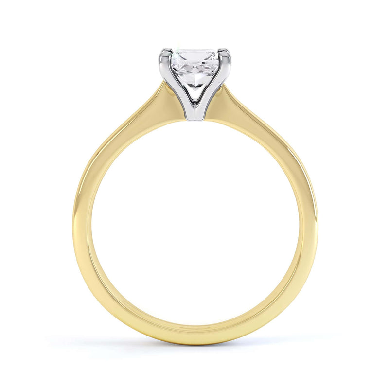 Princess Cut Centre Stone, 4 Claw, Diamond Engagement Ring