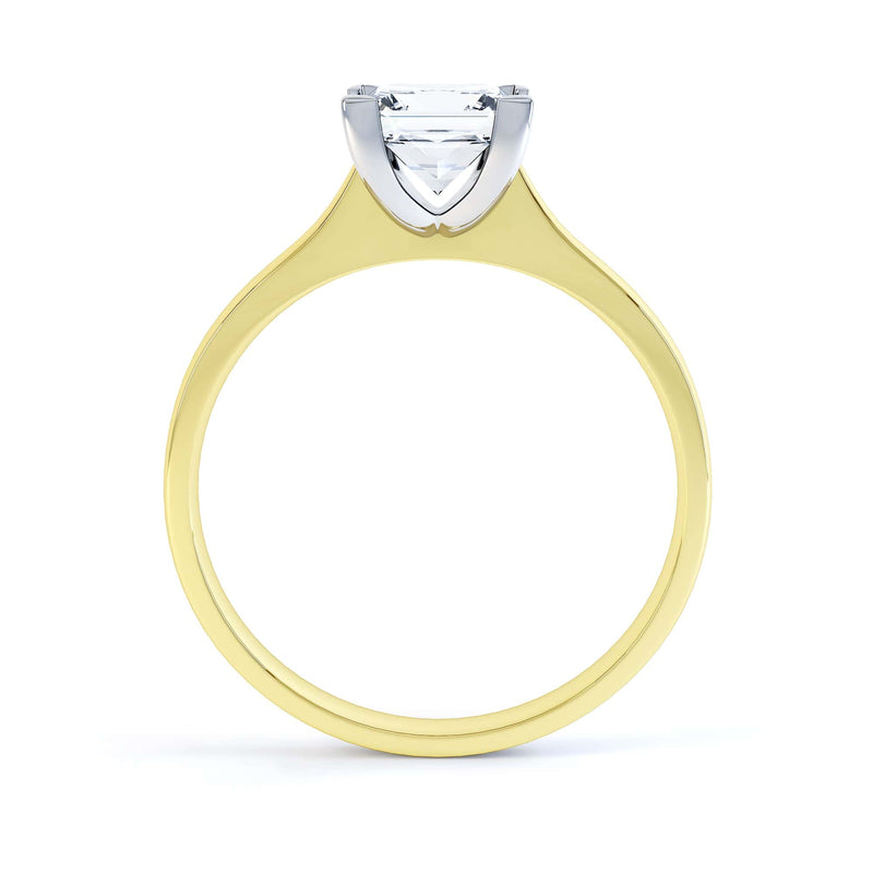 Princess Cut Centre Stone, 4 V claw, Diamond Engagement Ring