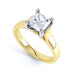 Princess Cut Centre Stone, 4 claw, Diamond Engagement Ring