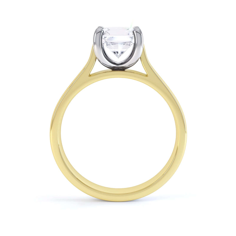 Princess Cut Centre Stone, 4 claw, Diamond Engagement Ring