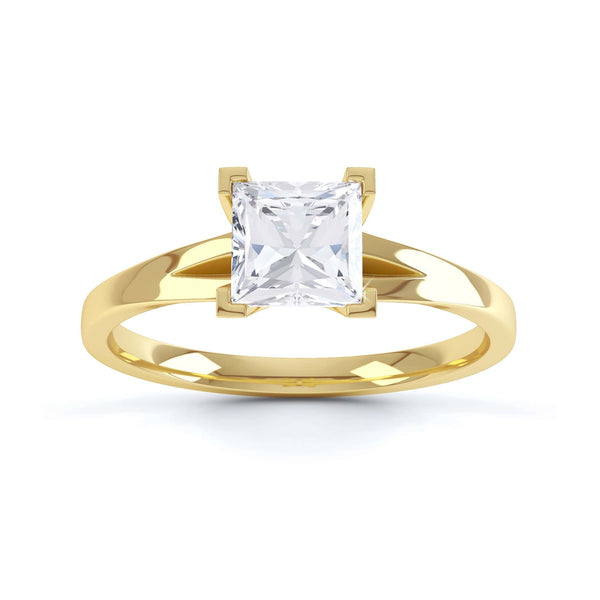Princess Cut Centre Stone, 4 V claw, Diamond Engagement Ring