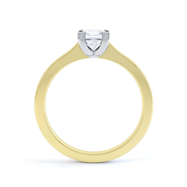 Princess Cut Centre Stone, 4 Claw, Diamond Engagement Ring